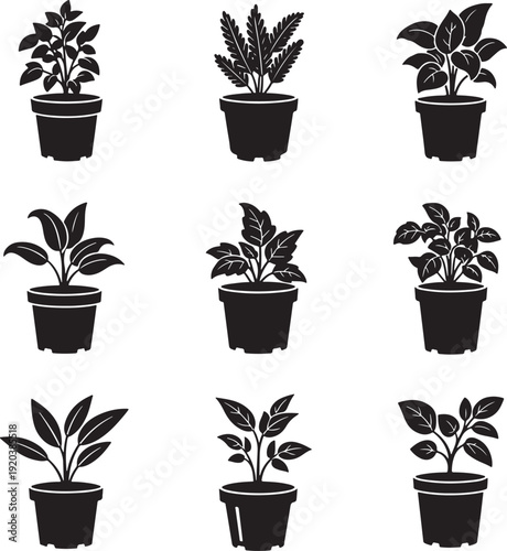 Indoor plant icon collection. Includes various potted plants, houseplants, and foliage. Created in solid black style with white background.