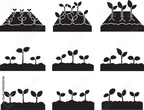 Plant growth stages icon collection. Includes seed germination, sprout development, and seedling growth symbols. Created in solid black style with simple shapes