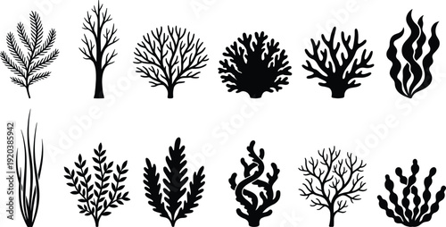 Black silhouette collection of underwater coral reef plants and seaweeds isolated on white background, perfect for marine life, ocean nature design