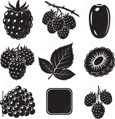 Blackberry vector icon set. Includes blackberries, leaves, and a square. Created in solid style with black and white palette.