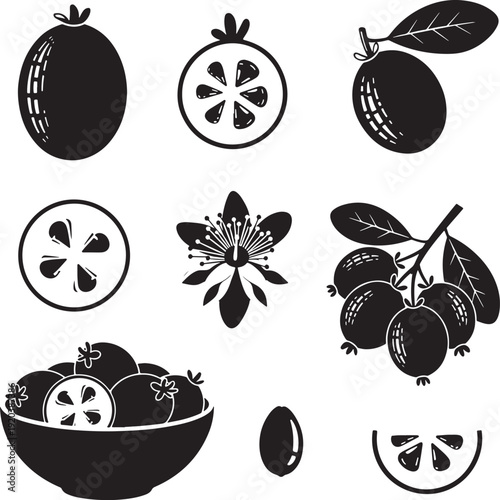 Tropical fruit vector icon set. Includes pomegranate, mangosteen, flower, bowl of fruit. Created in black silhouette style with white background