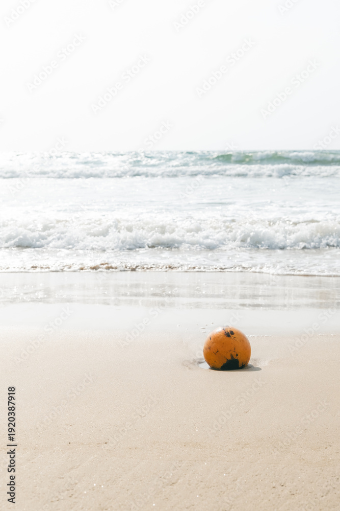 Obraz premium ビーチにおちているオレンジ色のココナッツ