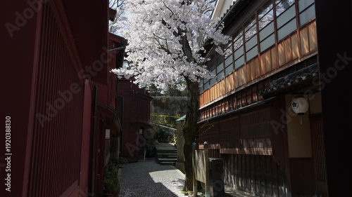 暗がり坂に咲く桜と主計町の春の路地風景
AdobeStock-4K