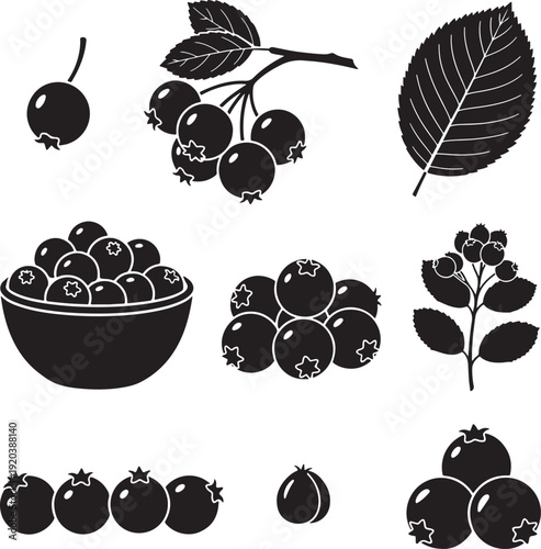 Blackberry icon collection. Includes blackberries, bowl of blackberries, blackberry branch, and leaf. Created in minimalist style with black and white palette