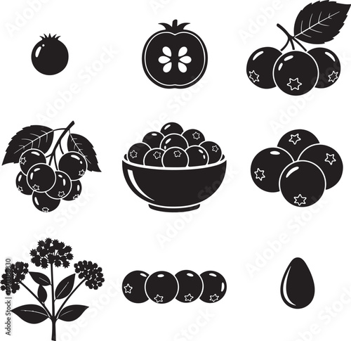Blackberry icon collection. Includes blackberries, blackberry bush, and fruit bowl. Created in solid style with black and white palette.