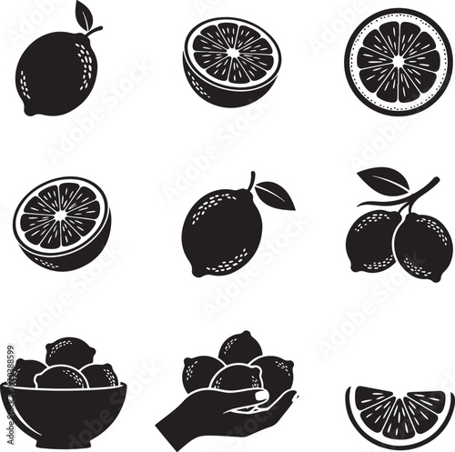 Citrus fruit vector icon set. Includes orange, lemon, lime, and grapefruit symbols. Created in black and white line style with simple shapes