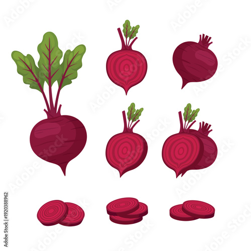 Beetroot Vegetable Set with Slices – Fresh Red Beet Flat Vector Illustration