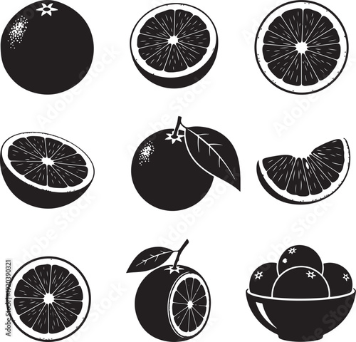 Citrus fruit vector icon set. Includes orange, lemon, lime, and grapefruit illustrations. Created in black and white line art style.
