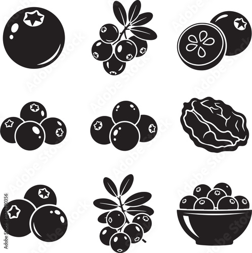 Blackberry icon collection. Includes blackberries, bowl, and leafy branch. Created in monochrome style with black and white palette.