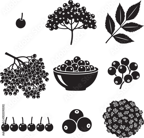 Elderberry icon collection. Includes elder bush, leaves, fruits, and bowl. Created in solid black style with monochromatic palette.