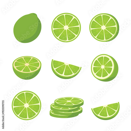Lime Fruit Set with Slices and Wedges – Fresh Green Lime Flat Vector Illustration