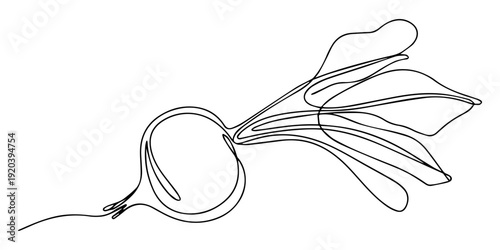 A single continuous line drawing of a beet or radish on a white background Vector, illustration, Radish Line Drawing, Continuous one line drawing of beet root. One line drawing illustration of growing
