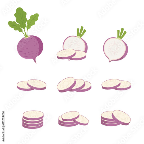 Purple Radish Vegetable Set with Slices – Fresh Root Vegetable Flat Vector Illustration