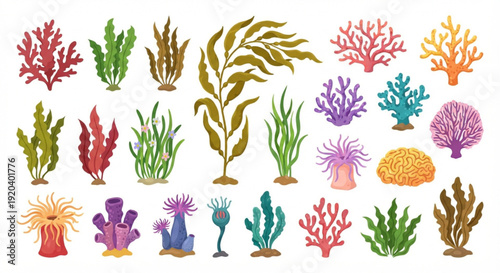 Diverse array of colorful marine flora, including various types of seaweed, coral reefs, and ocean plants, for aquatic natural designs