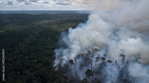Aerial view of smoke billowing over a scorched landscape where the forest meets the sky, a stark contrast between untouched green and ashen devastation, Rorainopolis, Roraima, Brazil.