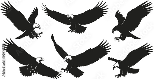 set of eagle vector illustrations flying bird silhouettes