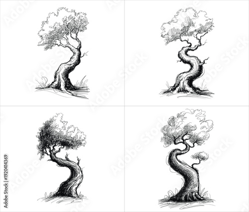 four hand drawn olive tree sketches featuring gnarled trunks and detailed canopy foliage in vintage line art design vector illustration artwork