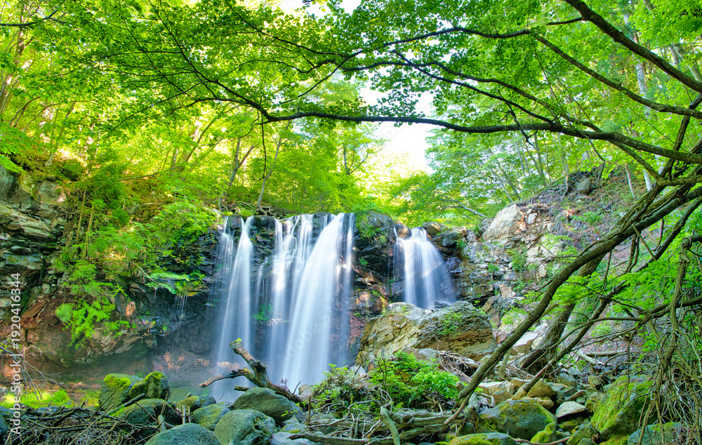 Obraz premium 栃木県那須塩原市 乙女の滝と沢名川