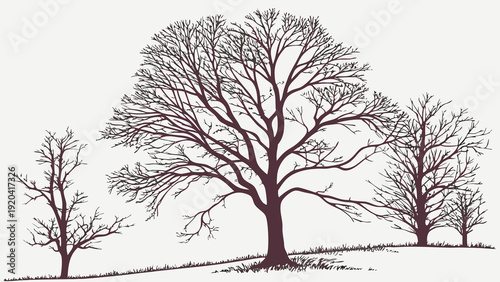 Wallpaper Mural Winter trees silhouettes collection Torontodigital.ca