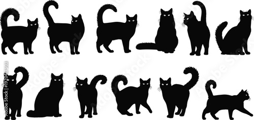 Collection of black cat silhouettes isolated on white background, cute domestic feline in sitting, standing and walking poses, vector illustration set for pet design