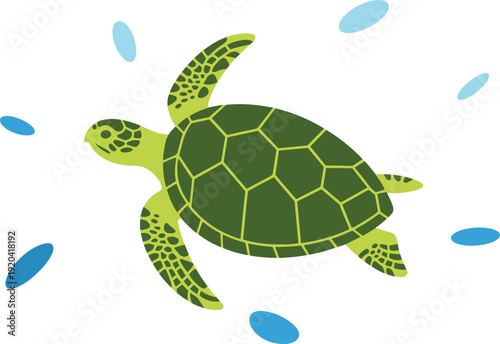 Vibrant Sea Turtle Swimming Isolated on Transparent Background Marine Life Concept
