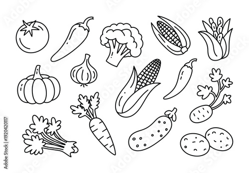 Vector illustration featuring a variety of fresh vegetables scattered artistically