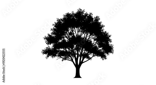 Tree Silhouette Vector Illustration Natural Forest Plant Icon Isolated on White Background