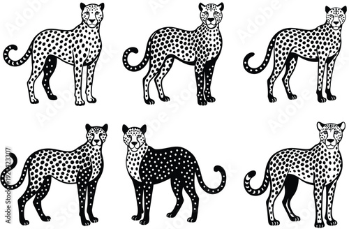 Set of hand drawn sketch style leopards isolated on white background. Vector illustration.