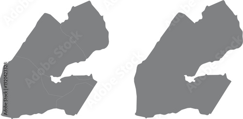 Djibouti Administrative Map Vector  Detailed Regions Outline and Silhouette Set