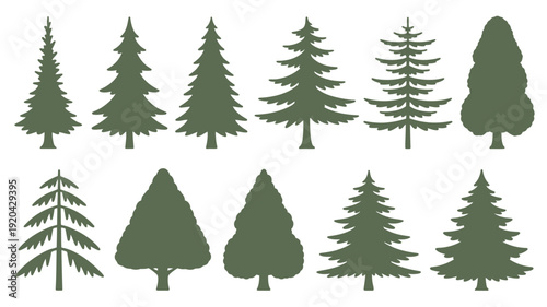 Collection of diverse evergreen coniferous trees in silhouette