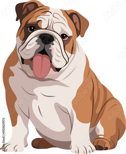 Cute Brown and White Bulldog Sitting Happily Isolated on Transparent Background Adorable Pet Concept