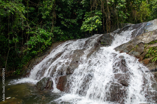 waterfall in the forest