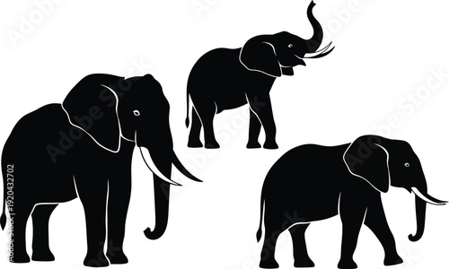 Elephant silhouette vector set with standing and walking poses, black African elephant illustration isolated on white background