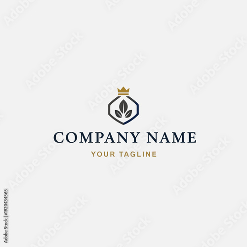 Luxury Company Logo Design with Crown.