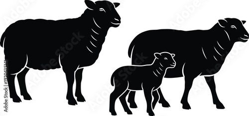 Sheep and lamb silhouette vector set with standing farm animals, black livestock illustration isolated on white background
