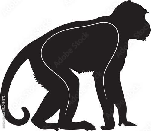 monkey silhouettes