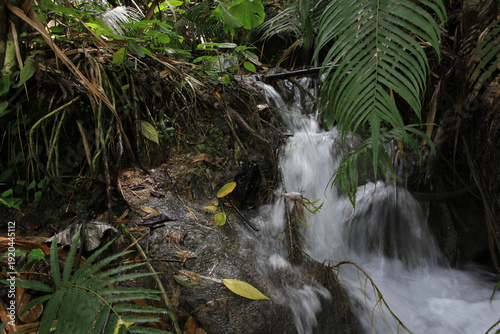 waterfall in the forest