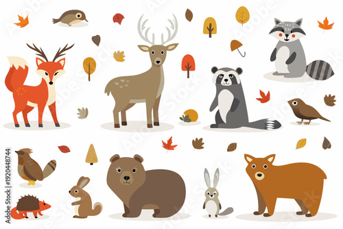Autumn forest animals deer raccoon bear and other woodland creatures
