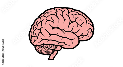 Illustration of Human Brain Anatomy in Medical Art Style image (2045).ai