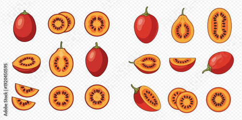 Set of Fresh Tamarillo Fruit Whole and Sliced Vector Illustration.