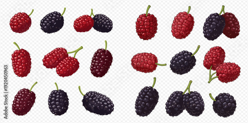 Set of fresh mulberries, red and black berries, isolated on transparent background.