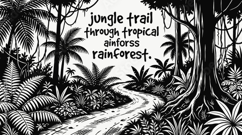 jungle dirt path road landscape nature outdoor travel countryside trail horizon rural environment scenic tropical journey vector illustration