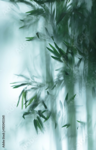 Foliage abstract blur background of leaves