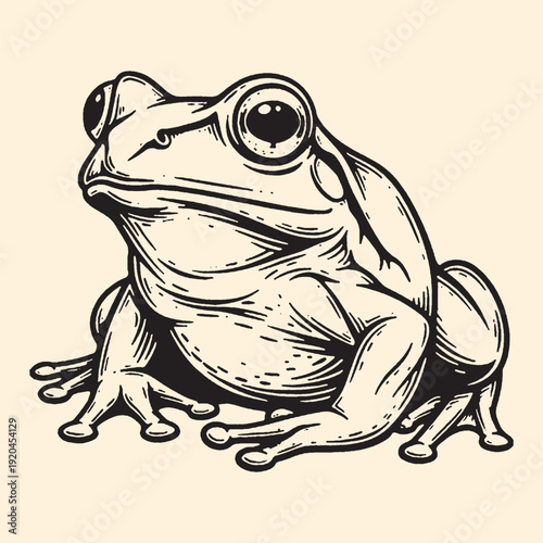 Close-up of a frog, amphibian creature, detailed illustration, bold lines, black and white art