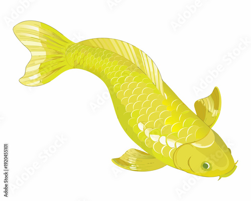 A vibrant yellow koi fish illustration with detailed scales and fins