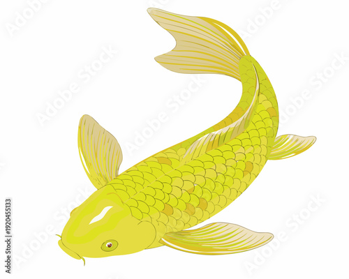 A vibrant yellow koi fish illustration with detailed scales and fins