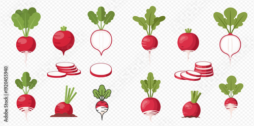 Fresh red radishes with green leaves and sliced pieces set.