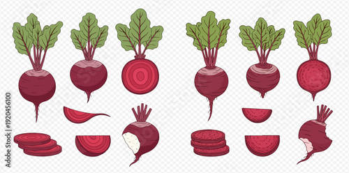 Fresh Beetroot Set: Whole, Sliced, and Half Beets with Green Leaves, Healthy Vegetable Collection.
