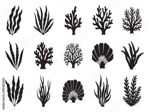 Collection of various coral reef silhouettes