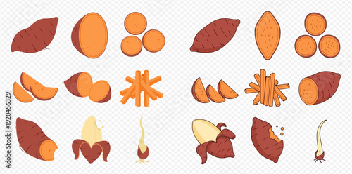 Sweet potato vector illustration set isolated on transparent background, showing various forms of the root vegetable.